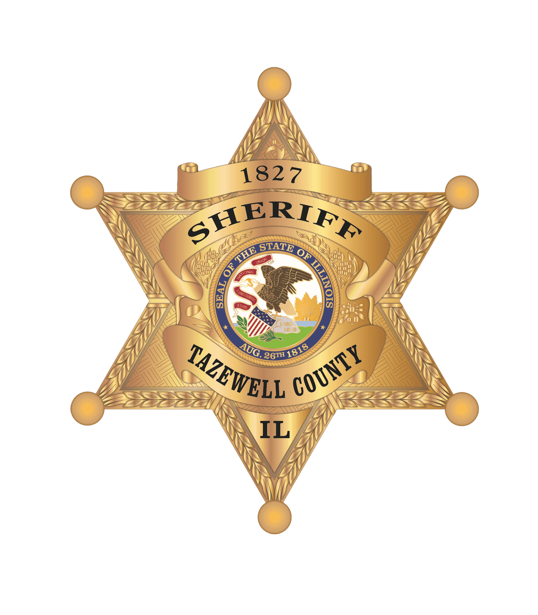 Organization Logo